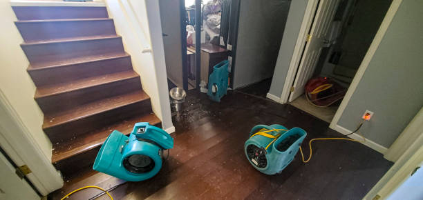 Professional Water damage restoration in OR
