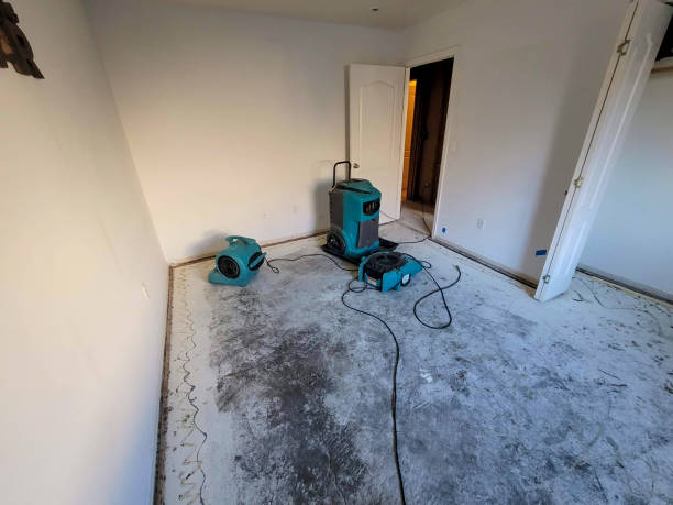 Best Carpet water damage restoration  in Hermiston, OR