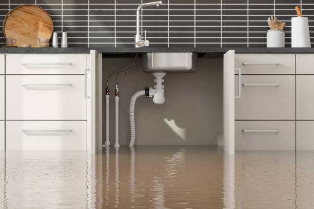 Best Flood damage cleanup  in Hermiston, OR